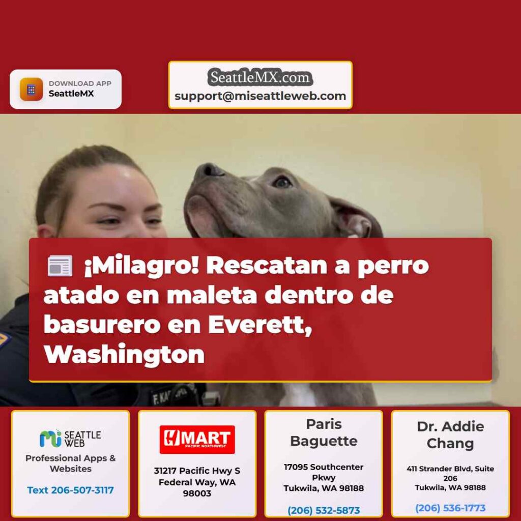 ¡Milagro! Rescatan a perro atado en maleta dentro