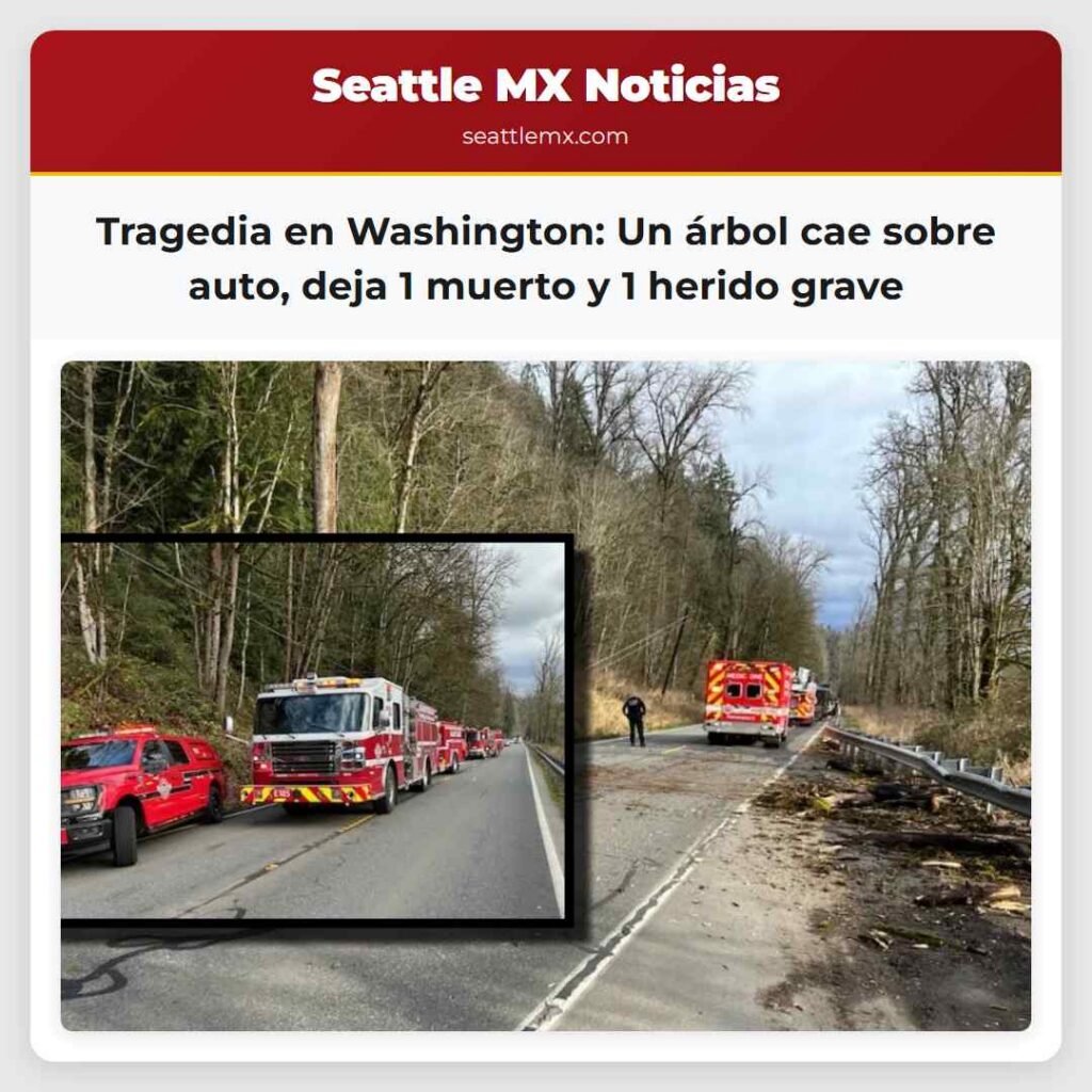 Tragedia en Washington: Un árbol cae sobre auto,