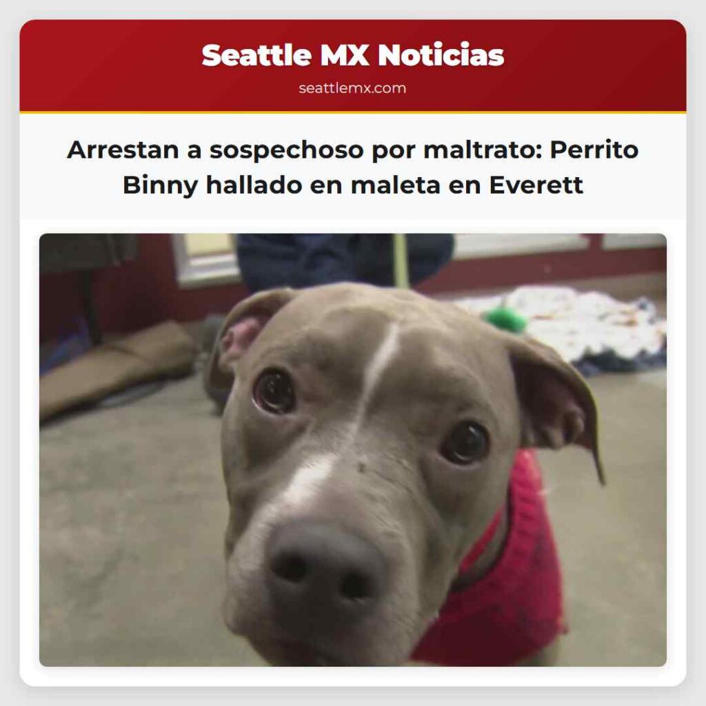 Arrestan a sospechoso por maltrato: Perrito Binny