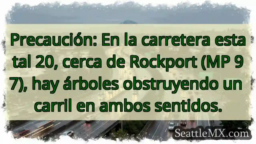 ¡Cuidado! Árboles en carretera 20, Rockport.