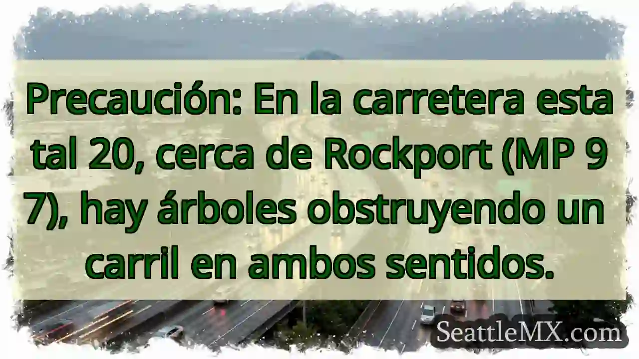 ¡Cuidado! Árboles en carretera 20, Rockport.