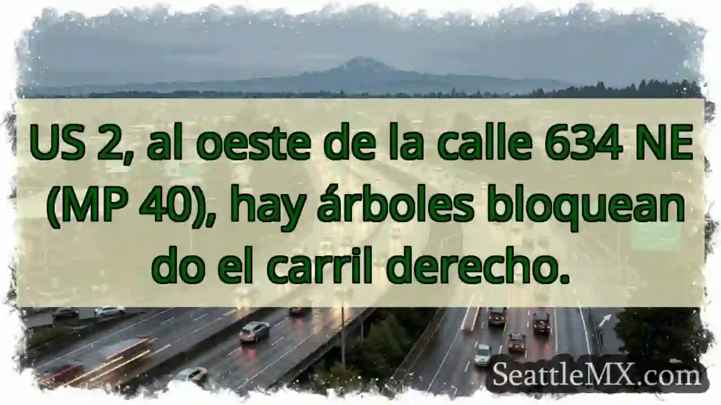 Árboles bloquean carril derecho. MP 40.