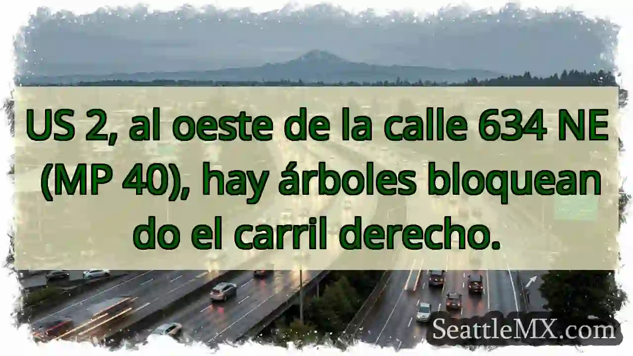 Árboles bloquean carril derecho. MP 40.