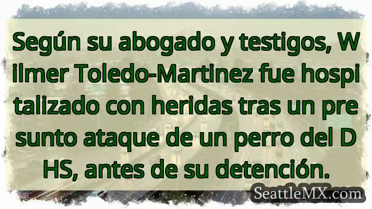 Ataque de perro DHS? Wilmer Toledo hospitalizado.