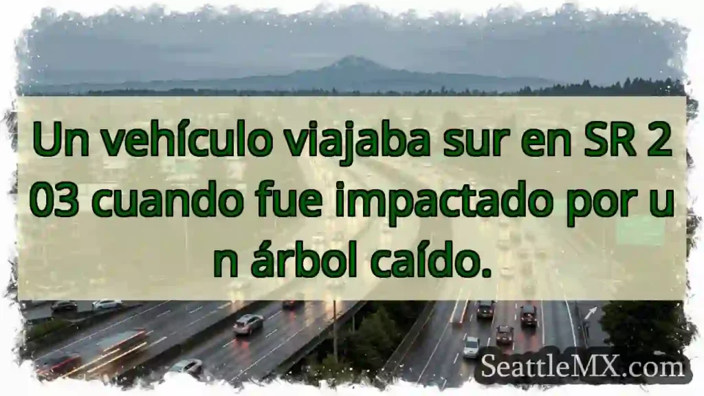 Noticias de transporte de Seattle 3 Árbol cae, vehículo impactado ⚠️