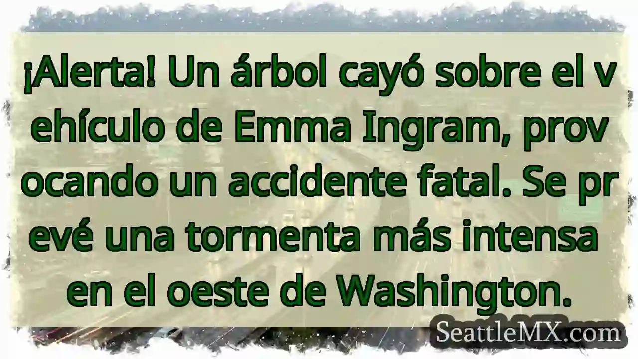 ¡Árbol cae! Tragedia en Washington. 1 ¡Árbol cae! Tragedia en Washington.