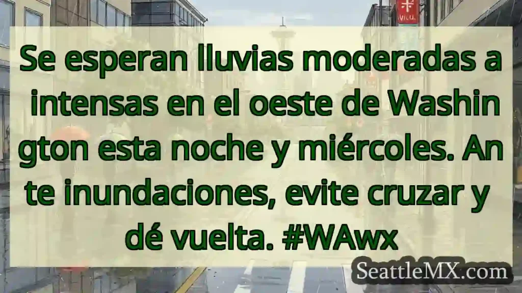 Lluvias intensas: ¡No cruces! 🌧️