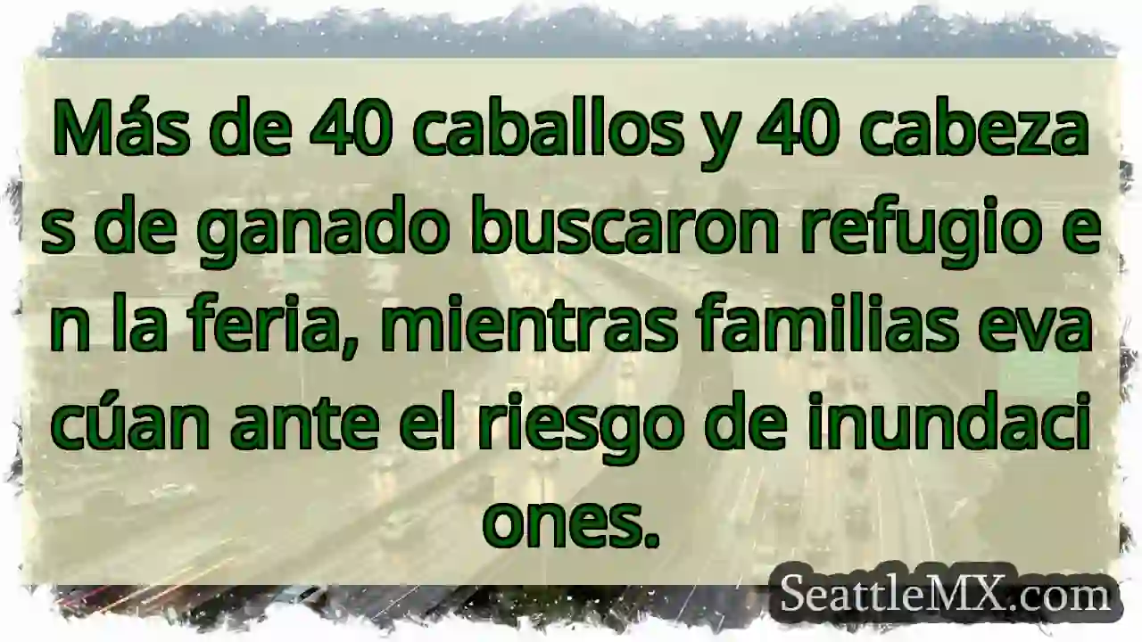 Refugio animal: ¡Inundación amenaza!