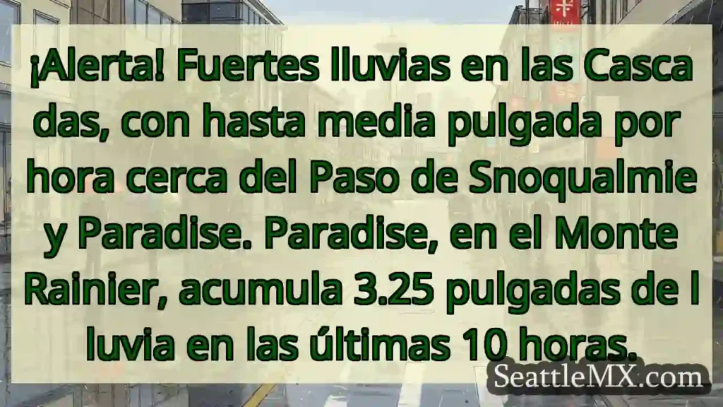 ¡Lluvia intensa en Rainier! 🌧️