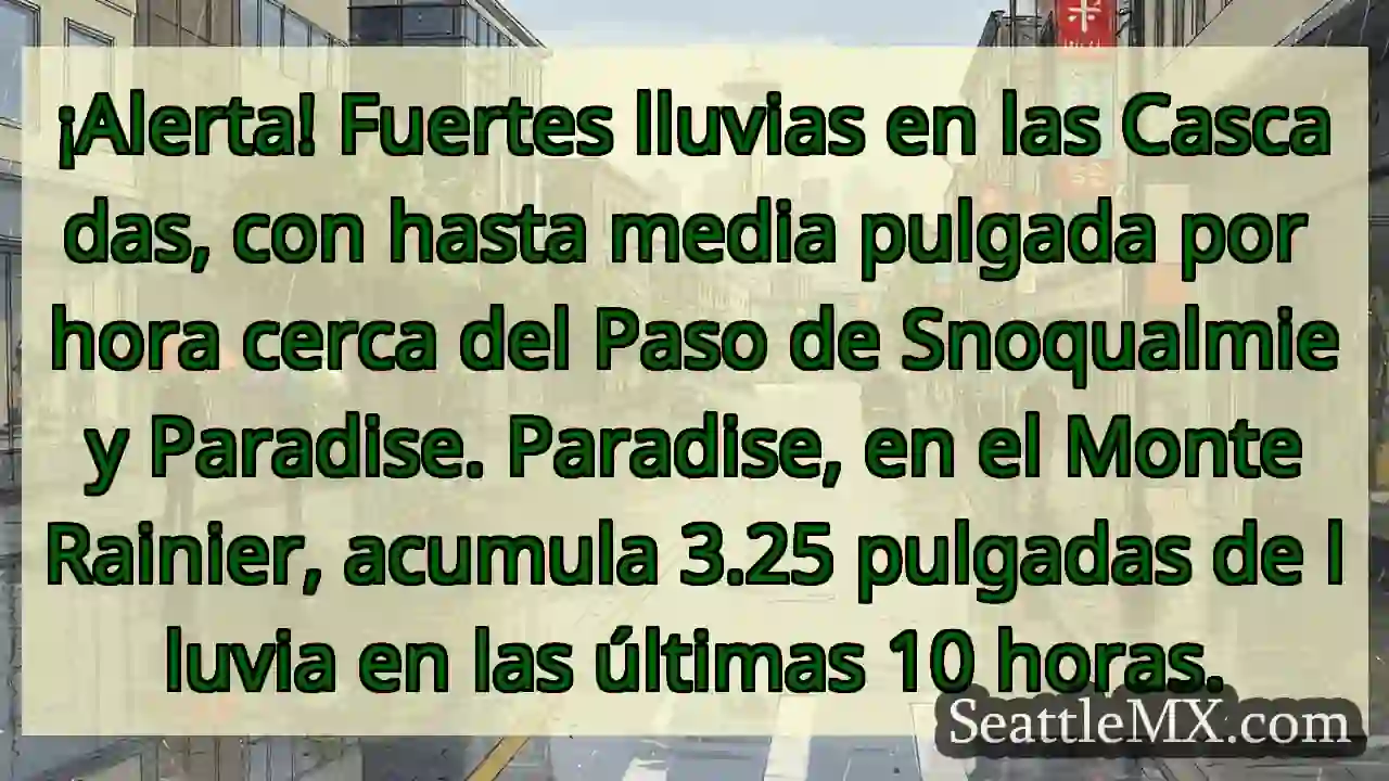 ¡Lluvia intensa en Rainier! 🌧️