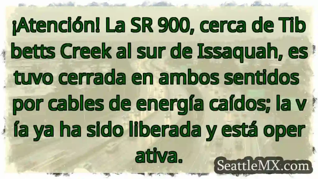 ¡Cables caídos! SR 900 liberada.