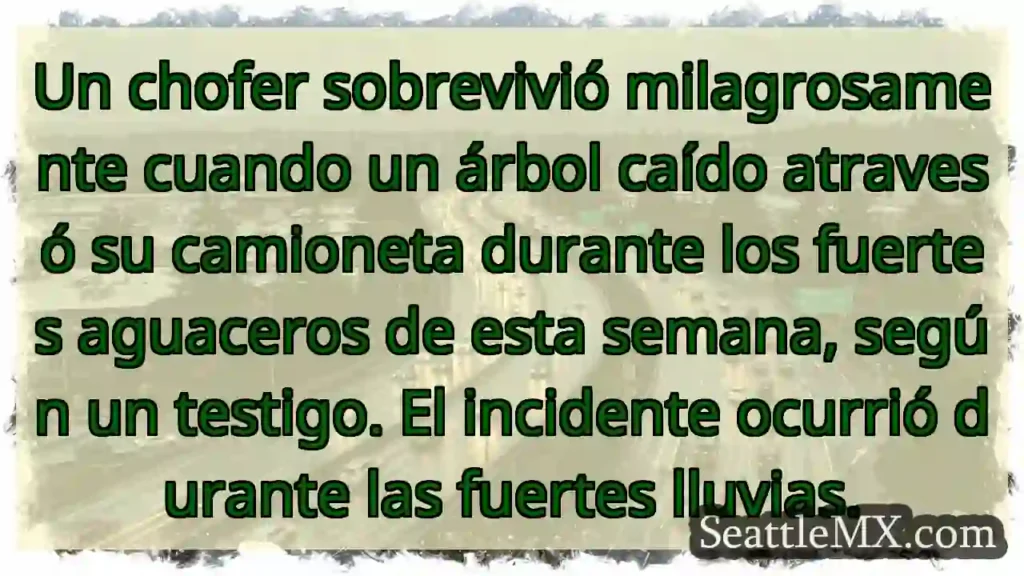 ¡Milagro! Árbol atraviesa camioneta en lluvia