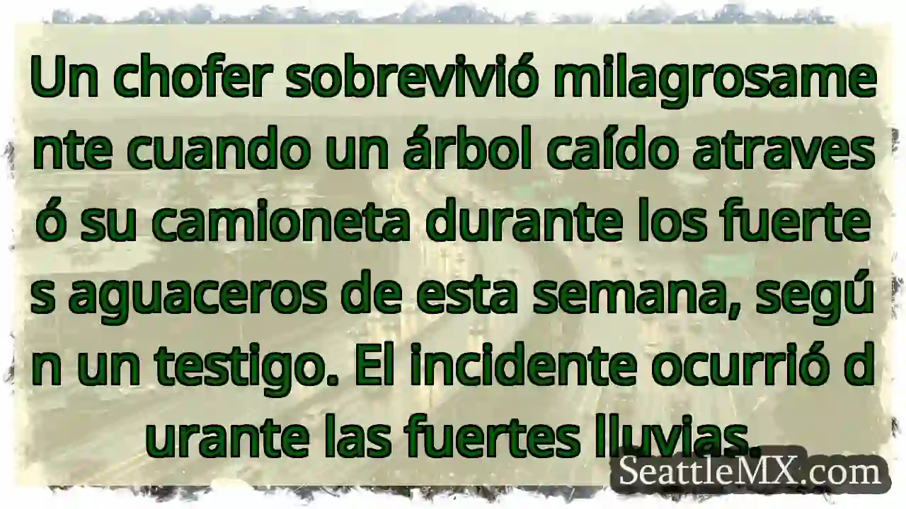 ¡Milagro! Árbol atraviesa camioneta en lluvia