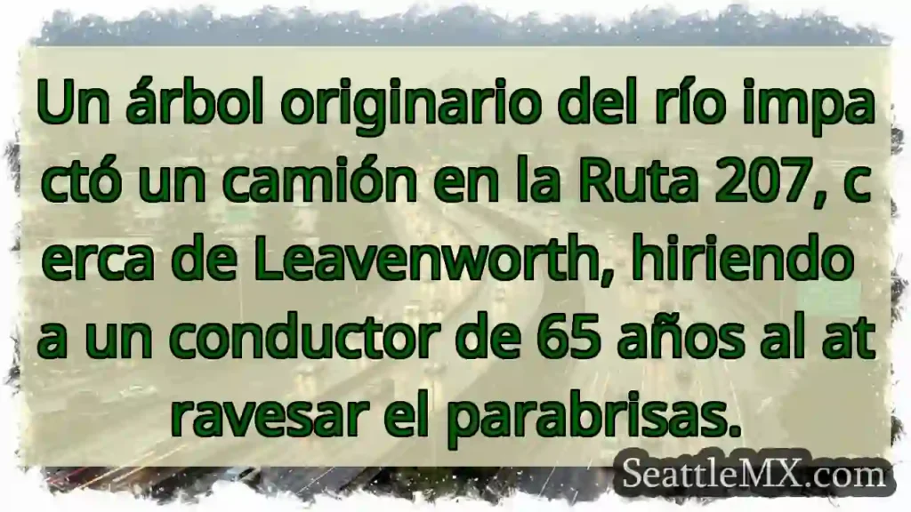 Árbol cae, golpea camión. Conductor herido.