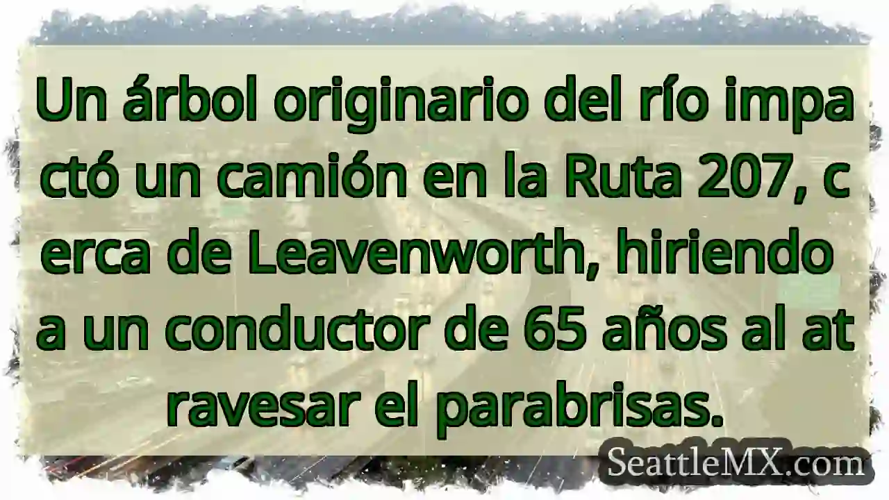 Árbol cae, golpea camión. Conductor herido.