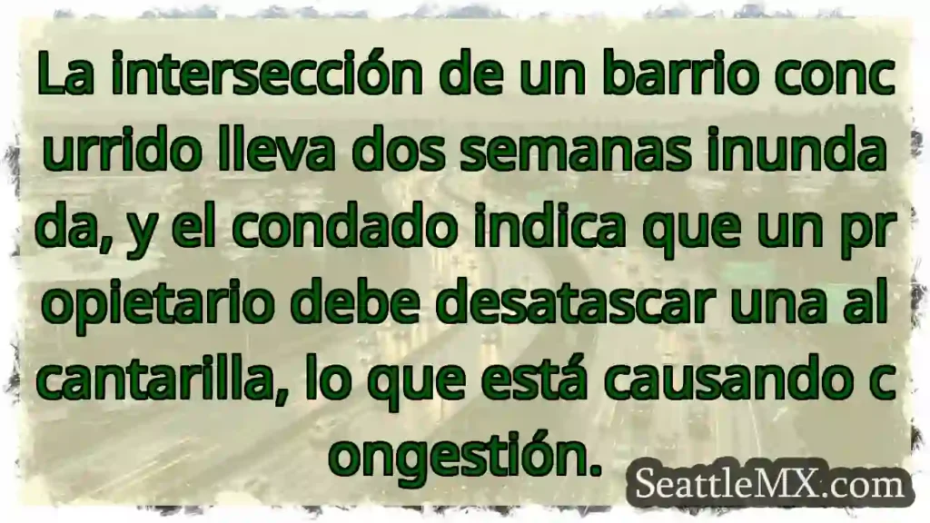 ¡Inundación! Alcantarilla obstruida, caos.