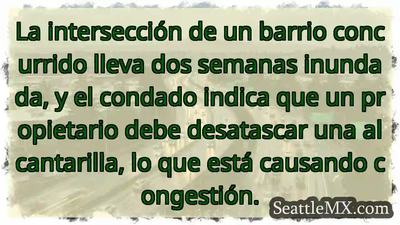 ¡Inundación! Alcantarilla obstruida, caos.