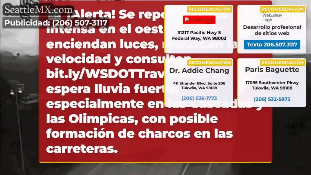 Noticias de transporte de Seattle 5 ¡Lluvia intensa en WA! ¡Reduce la velocidad!