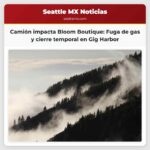 Camión impacta tienda Bloom Boutique en Gig Harbor provoca fuga de gas