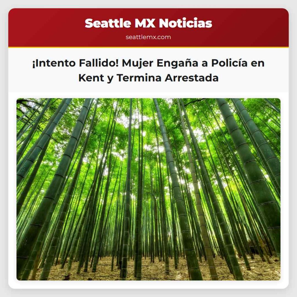 ¡Intento Fallido! Mujer Engaña a Policía en Kent