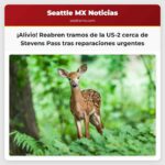 Reabren tramos de la Autopista 2 cerca de Stevens Pass tras labores de emergencia