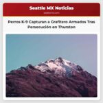 Perros K-9 del Condado de Thurston Asisten en la Captura de Grafitero Armados Tras una Persecución