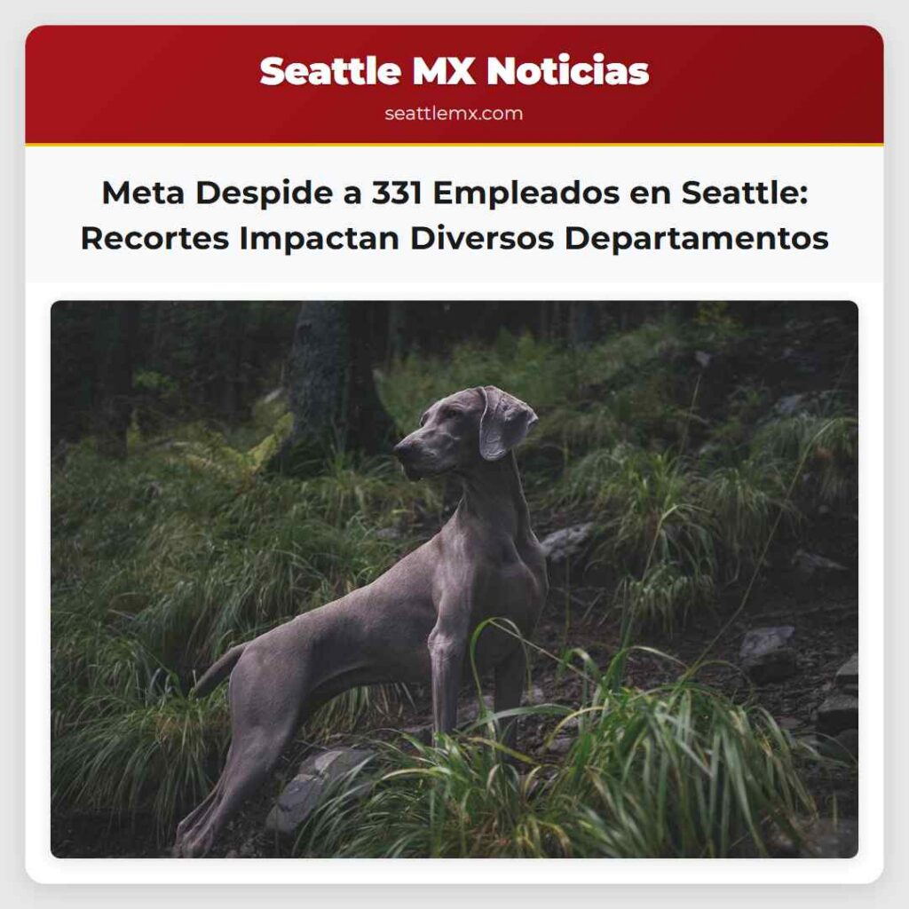 Meta Despide a 331 Empleados en Seattle: Recortes