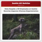 Meta Anuncia Despidos que Afectarán a 331 Empleados en el Área de Seattle