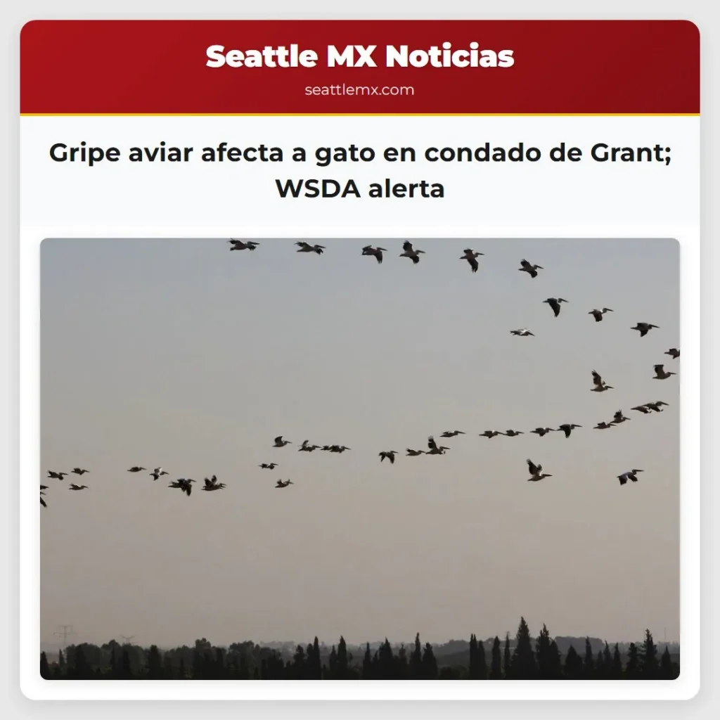 Gripe aviar afecta a gato en condado de Grant;