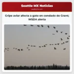 Gato del condado de Grant muere de gripe aviar de alta patogenicidad la WSDA subraya el riesgo