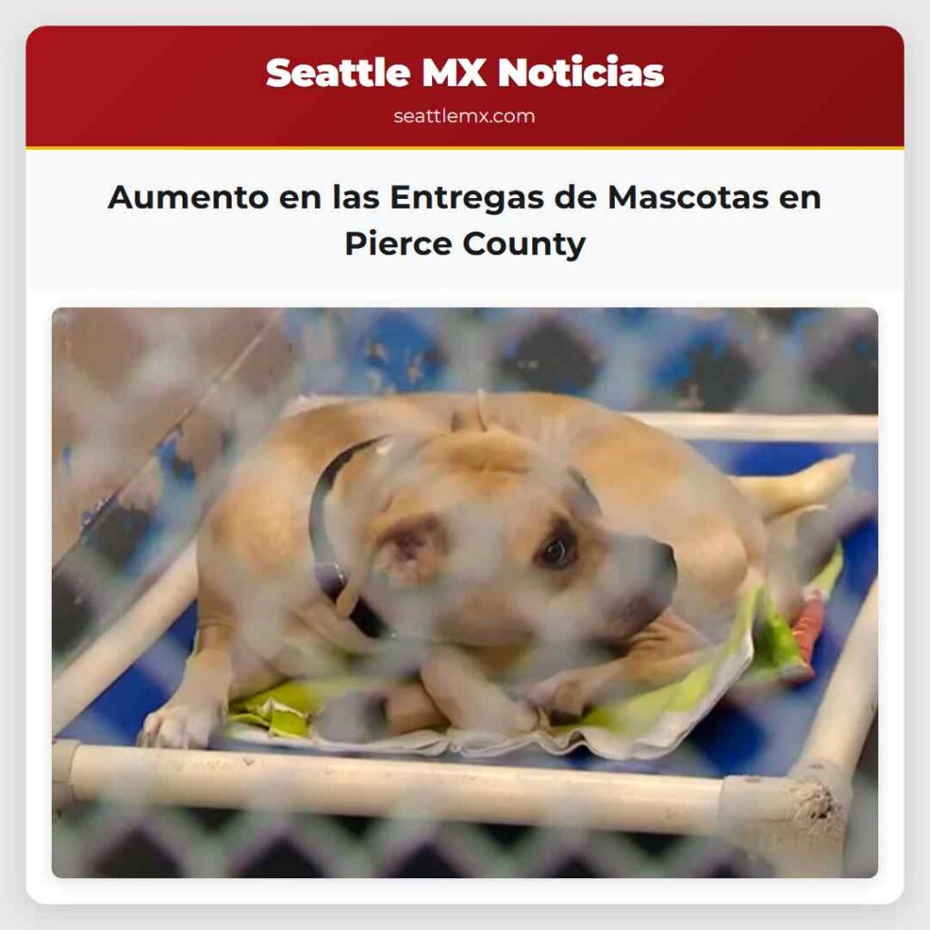 Aumento en las Entregas de Mascotas en Pierce