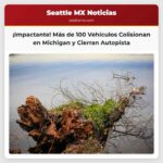 Impactante Colisión Involucra a Más de 100 Vehículos y Cierra Autopista en Michigan