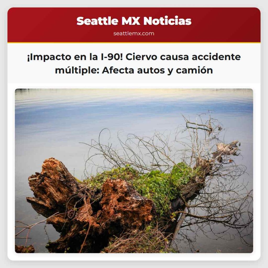 ¡Impacto en la I-90! Ciervo causa accidente