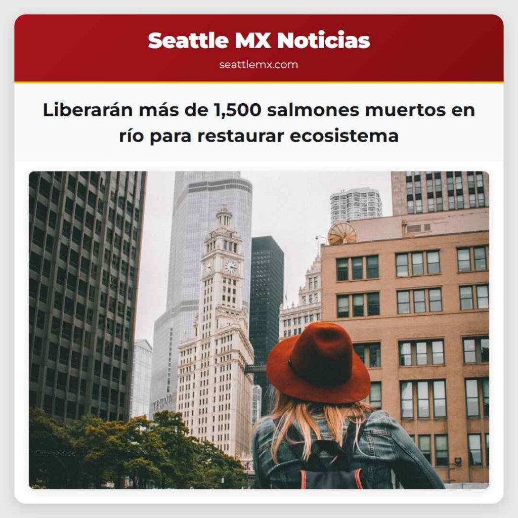 Liberarán más de 1,500 salmones muertos en río