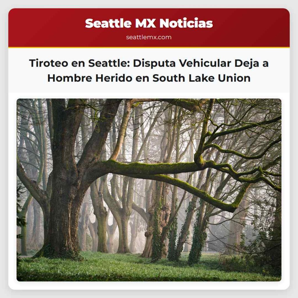 Tiroteo en Seattle: Disputa Vehicular Deja a