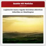 La Bicicleta Eléctrica de Tu Hijo ¿Es Legal?