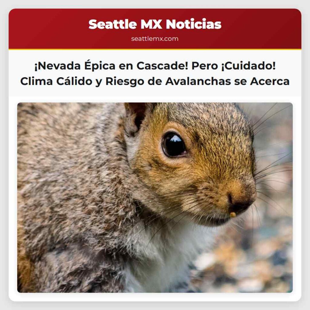 ¡Nevada Épica en Cascade! Pero ¡Cuidado! Clima