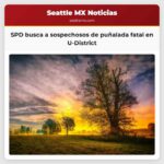 Departamento de Policía de Seattle busca a dos sospechosos en relación con una fatal puñalada en el U-District