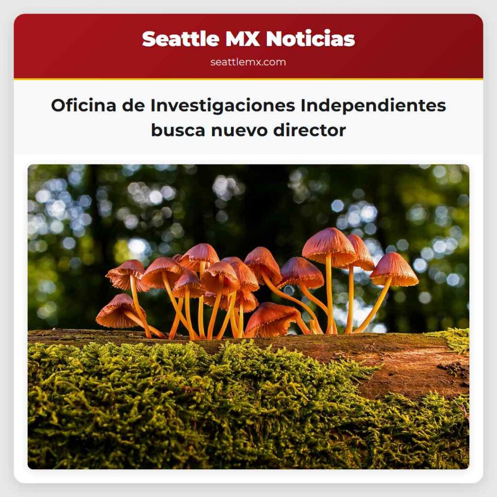 Oficina de Investigaciones Independientes busca