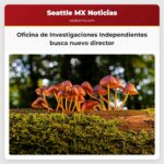 Oficina de Investigaciones Independientes de Washington busca nuevo director