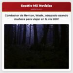 Conductor de Renton Wash. atrapado usando muñeca para viajar en la vía HOV