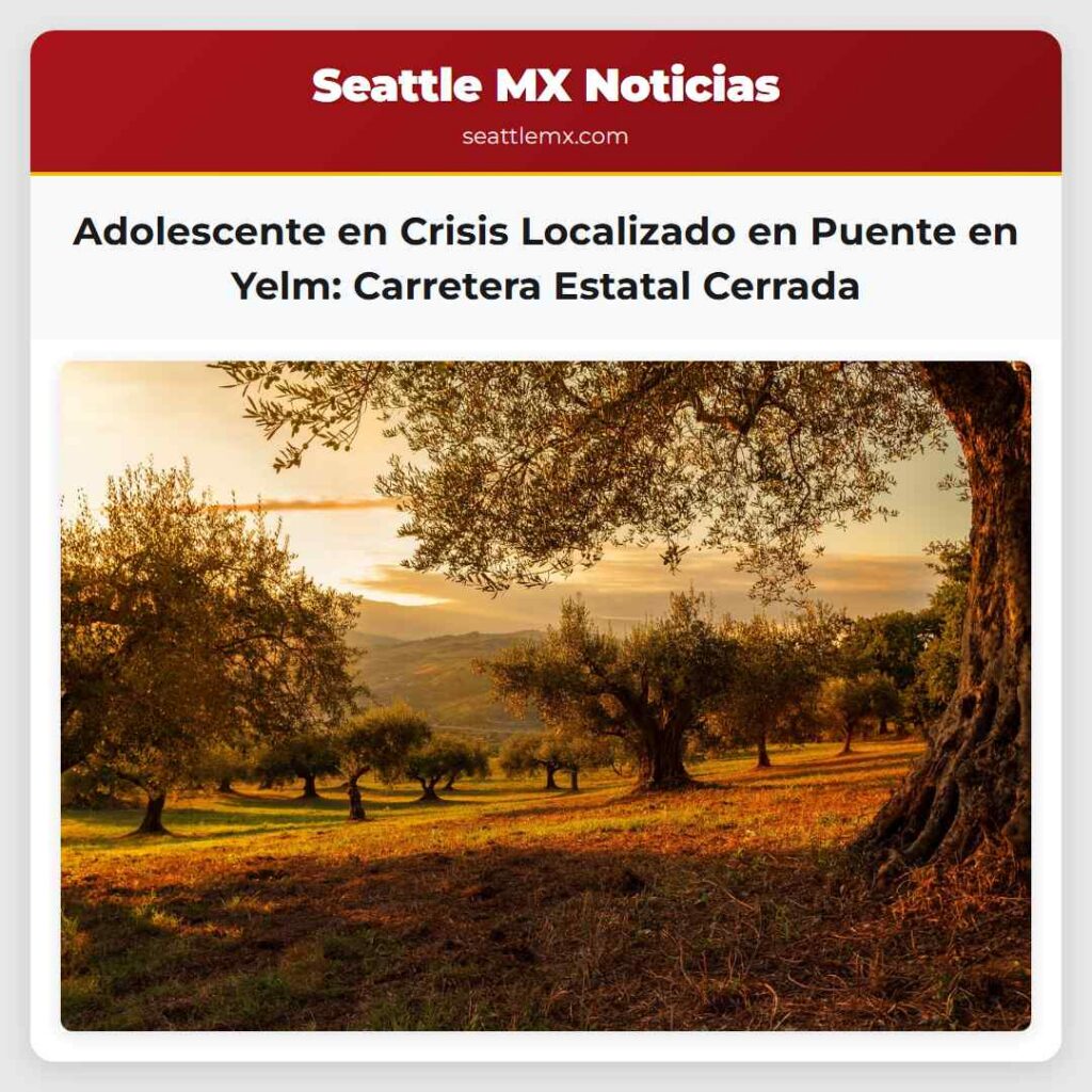 Adolescente en Crisis Localizado en Puente en