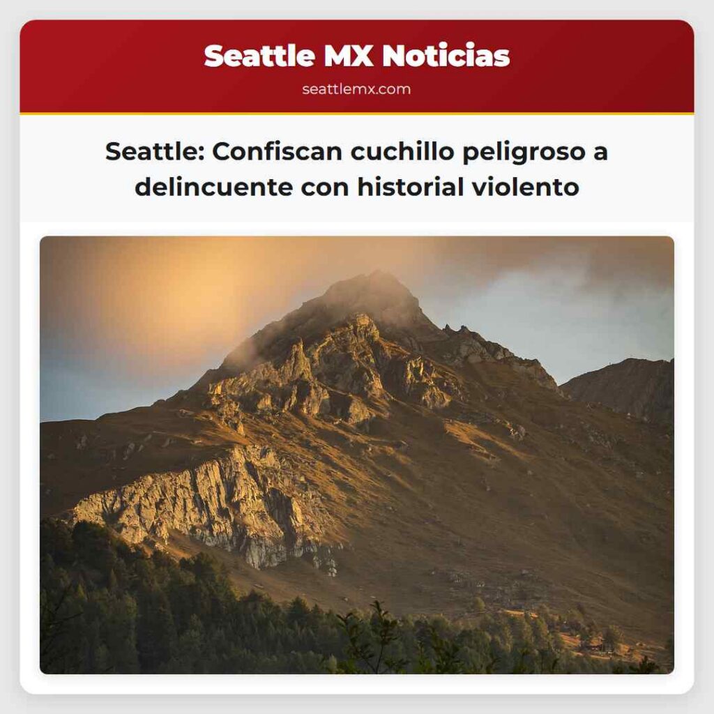 Seattle: Confiscan cuchillo peligroso a