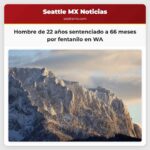 Hombre de 22 años sentenciado a 66 meses por distribuir 20000 píldoras de fentanilo en WA