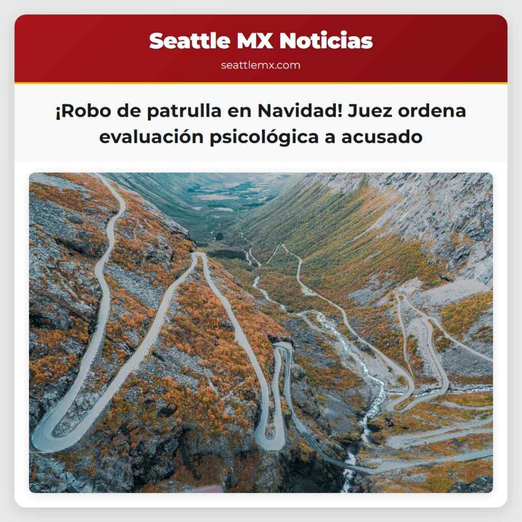 ¡Robo de patrulla en Navidad! Juez ordena