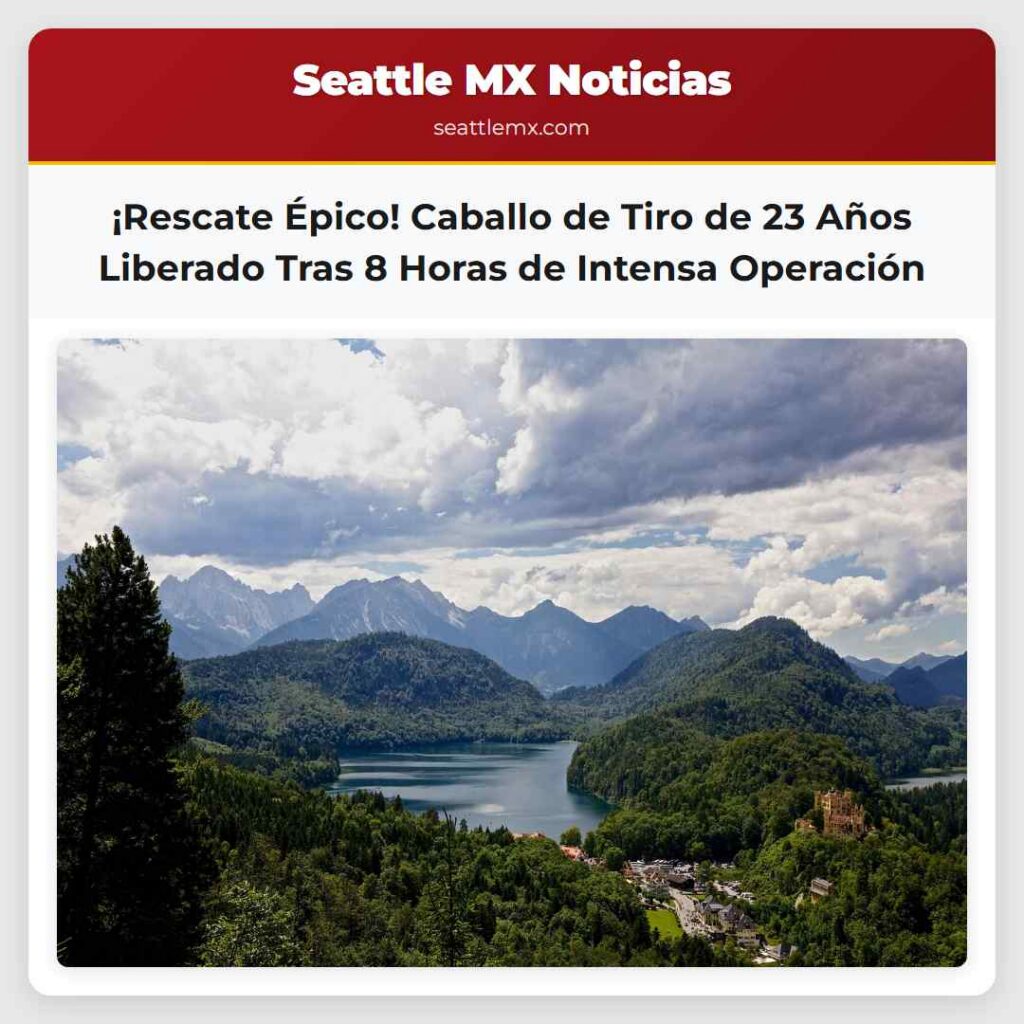 ¡Rescate Épico! Caballo de Tiro de 23 Años