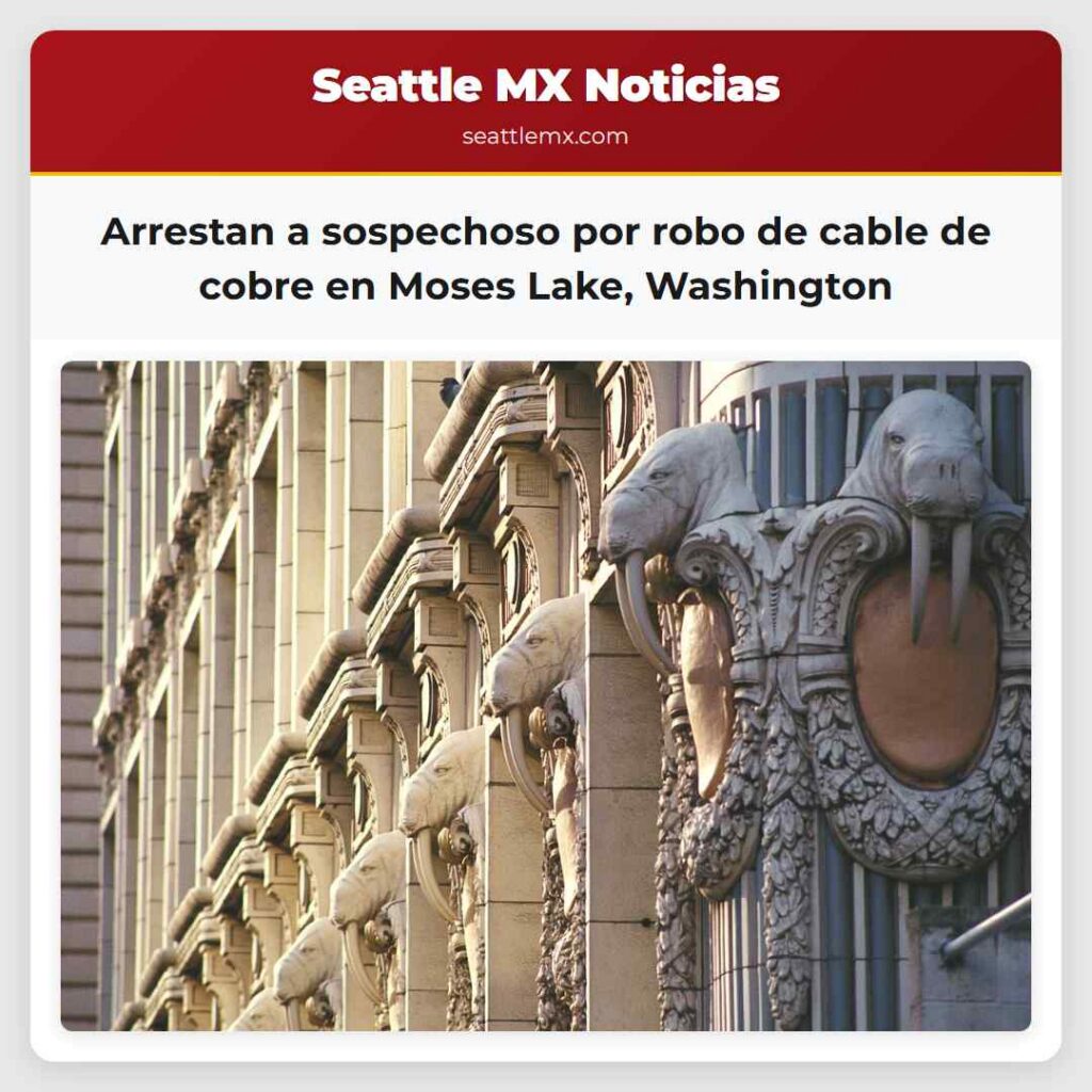 Arrestan a sospechoso por robo de cable de cobre
