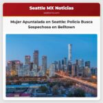 Mujer Herida por Puñalada en Belltown Seattle