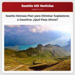 Seattle Aún Define Plan para Eliminar Sopladores de Hojas a Gasolina un Año Después