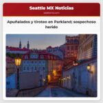 Hombre y su perro apuñalados en Parkland agentes participan en tiroteo con sospechoso